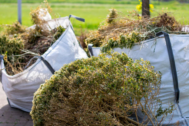 Best Residential Junk Removal  in St Johns, MI