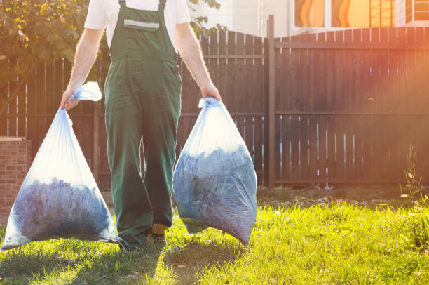 Best Same-Day Junk Removal Services  in St Johns, MI